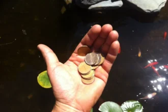 A Millionaire is Made Ten Bucks at a Time